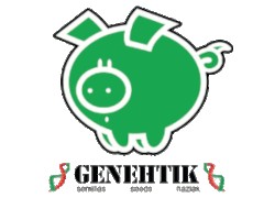 Genehtik