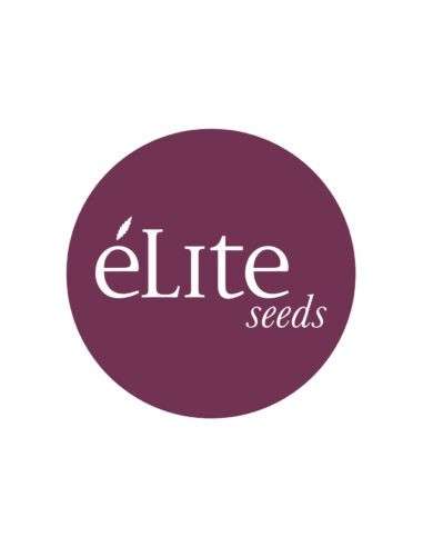 Elite Seeds