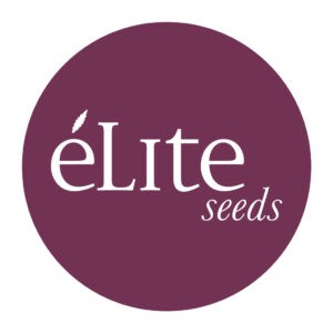 Elite Seeds