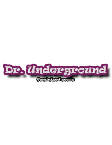 Dr Underground