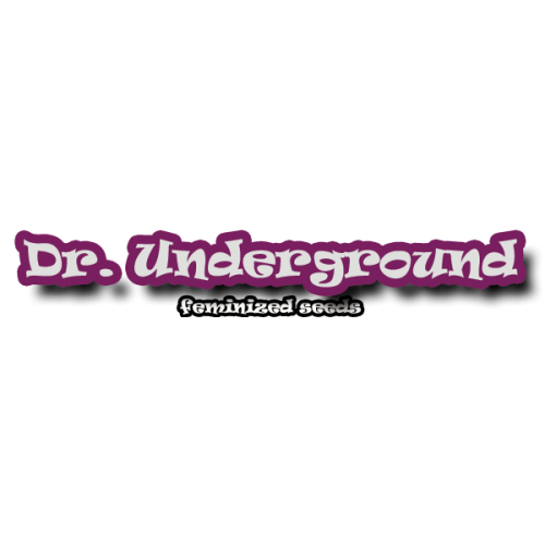 Dr Underground