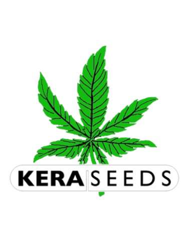Kera Seeds