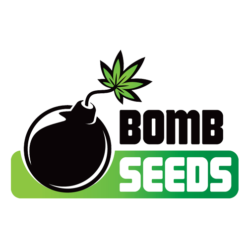 Bomb Seeds