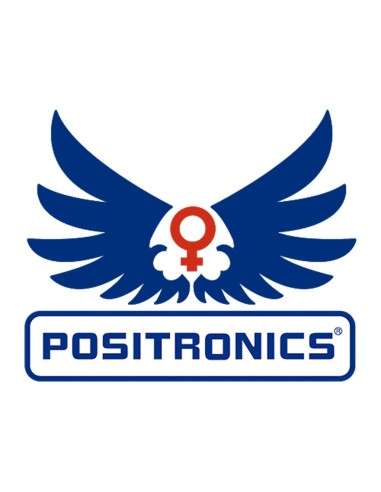 Positronics