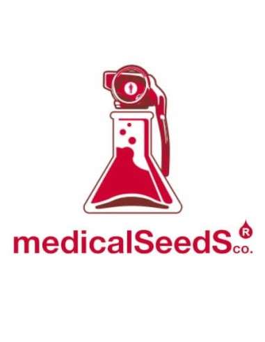 Medical Seeds