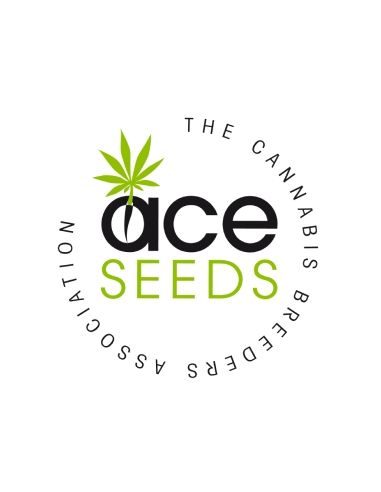 ACE Seeds