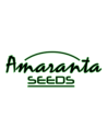 Amaranta Seeds