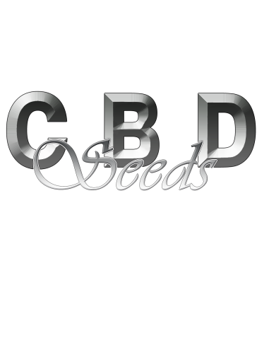 CBD Seeds