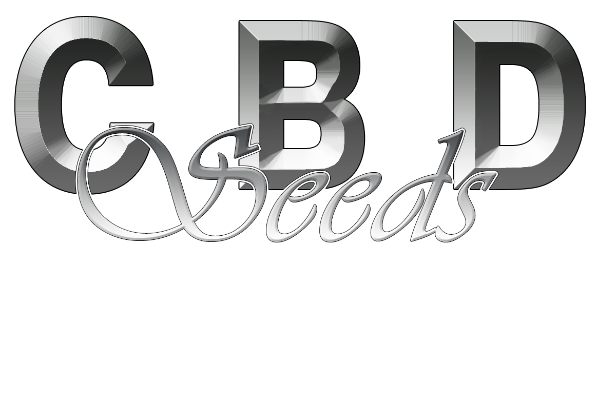 CBD Seeds