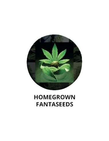 FANTASEEDS
