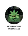 FANTASEEDS