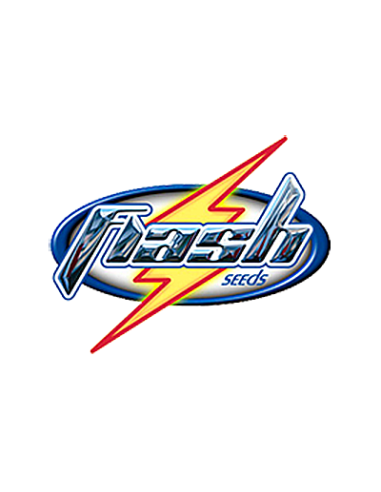 Flash Seeds