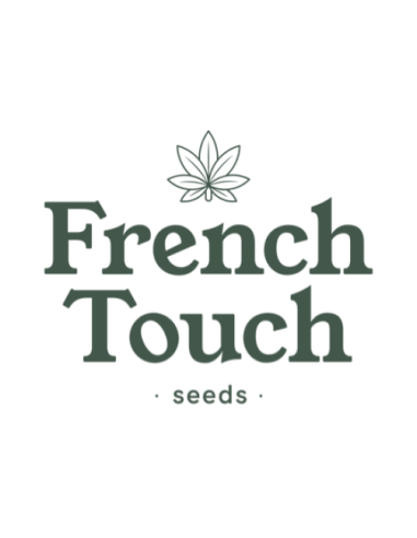 French Touch Seeds