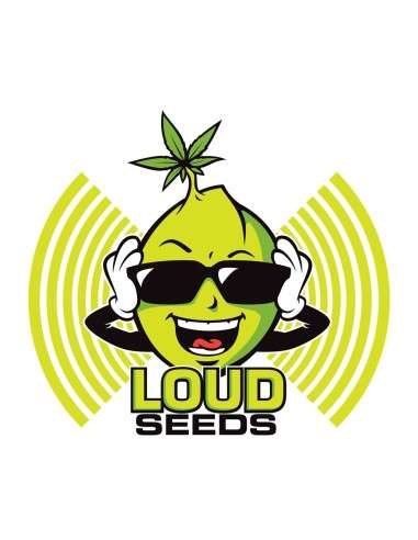 Loud Seeds