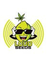 Loud Seeds