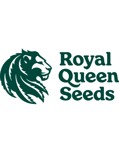Royal Queen Seeds