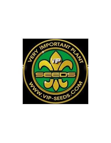 Vip Seeds