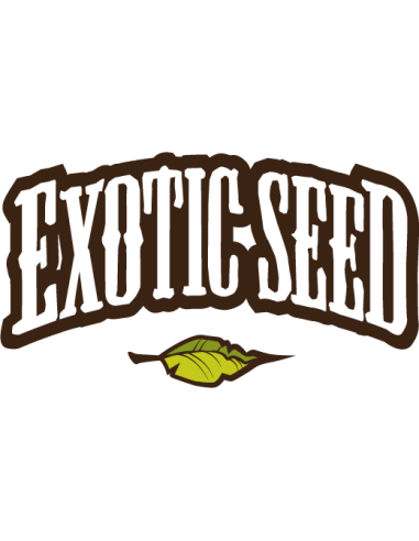 Exotic Seed