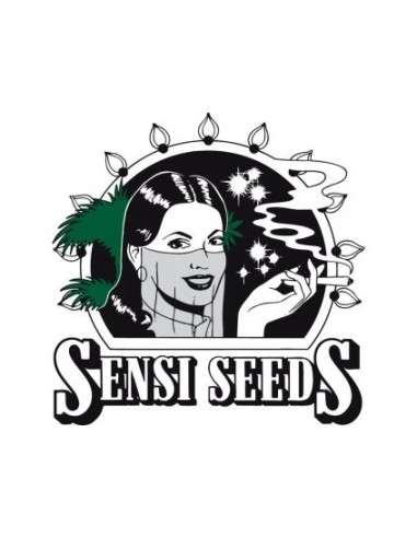 Sensi Seeds