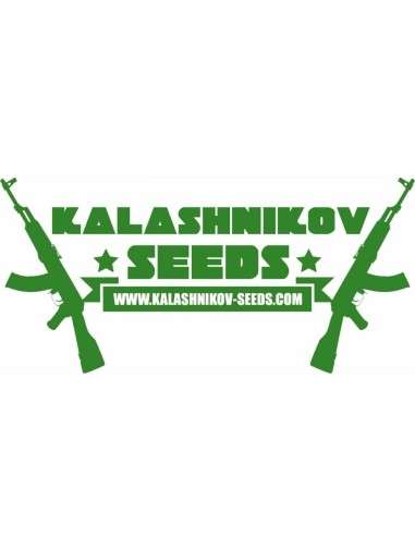 Kalashnikov Seeds