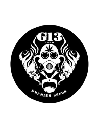 G13 Labs
