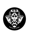 G13 Labs
