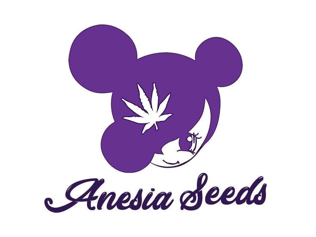 Anesia Seeds