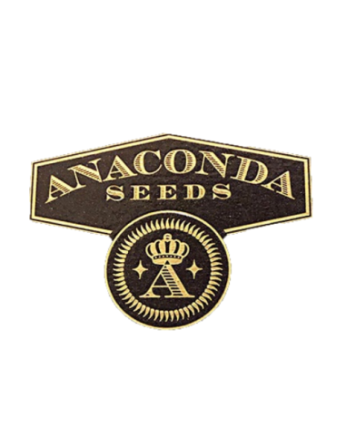 Anaconda Seeds