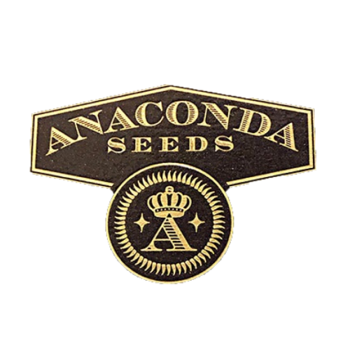 Anaconda Seeds