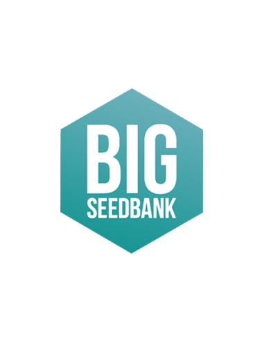 Big Seedbank