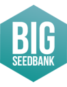 Big Seedbank