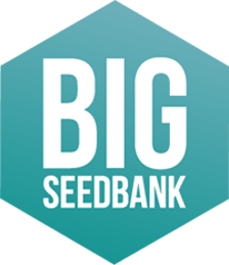 Big Seedbank