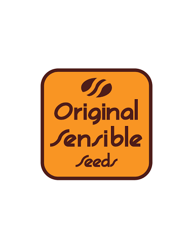 Original Sensible Seeds