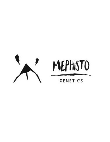 MEPHISTO GENETICS