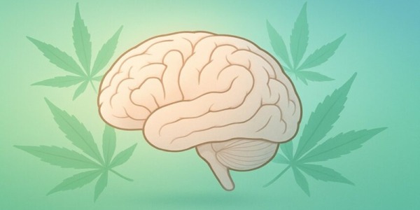 Czy marihuana pomaga na stres? THC, CBD i działanie