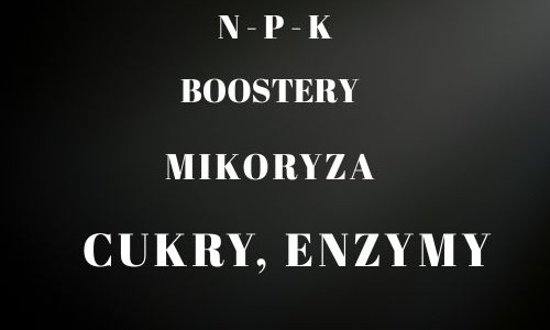 Nawozy dla roślin – rodzaje, NPK, mikoryza i enzymy