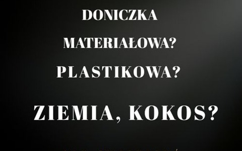 Doniczki i podłoża uprawne – jak wybrać odpowiednie?