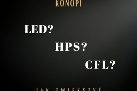Jak wybrać lampę do uprawy indoor? Poradnik oświetlenia