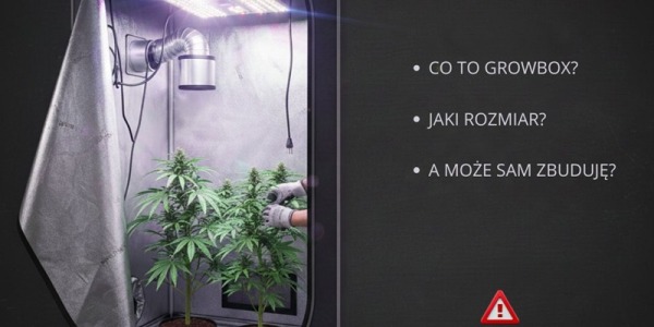 Growbox – jak wybrać odpowiedni namiot do uprawy indoor?