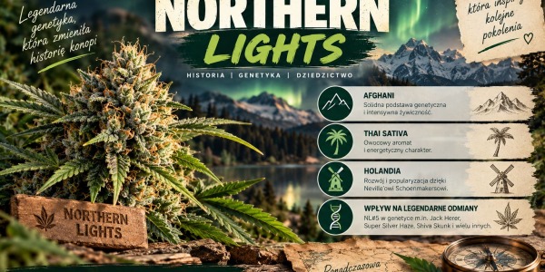 Historia odmiany Northern Lights