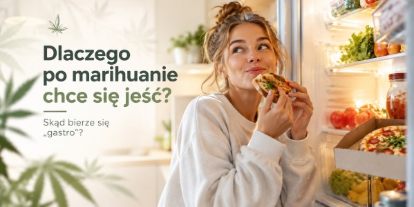 Dlaczego po marihuanie chce się jeść? Skąd bierze się gastro?