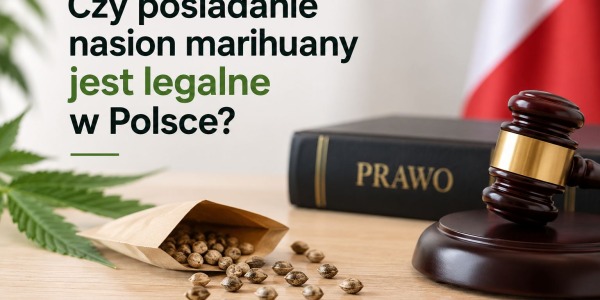 Czy posiadanie nasion marihuany jest legalne w Polsce?