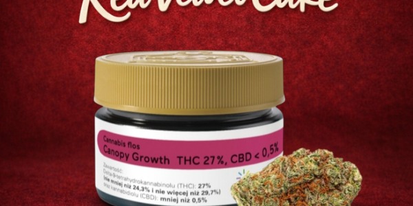 Czy marihuana się przeterminowuje? Jak długo zachowuje właściwości?