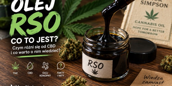 Olej RSO – co to jest, czym różni się od CBD i dlaczego tyle się o nim mówi?