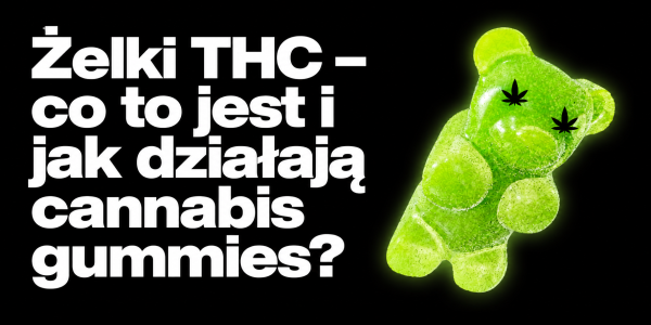 Żelki THC – co to jest i jak działają cannabis gummies?