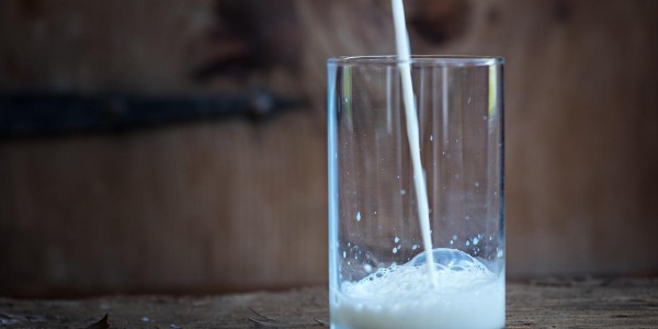 Mleko konopne – właściwości i zastosowanie