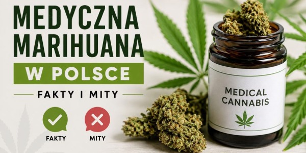 Medyczna marihuana w Polsce – fakty i mity. Co warto wiedzieć?