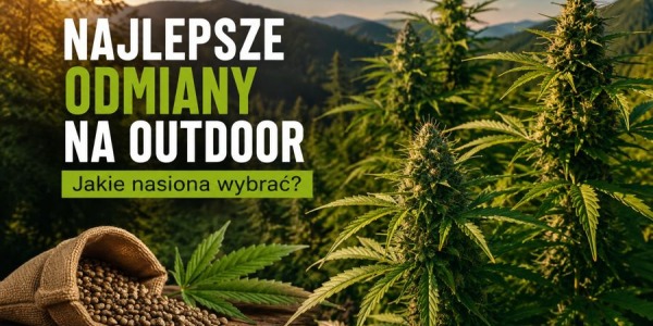 Najlepsze odmiany na outdoor – jakie nasiona wybrać?
