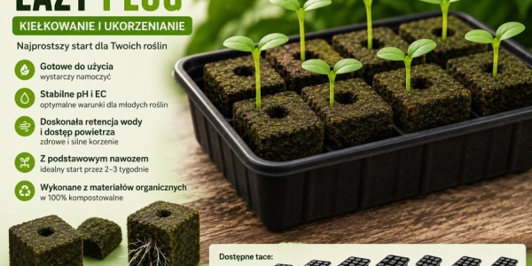 Eazy Plug – co to jest, jak używać i dlaczego warto?