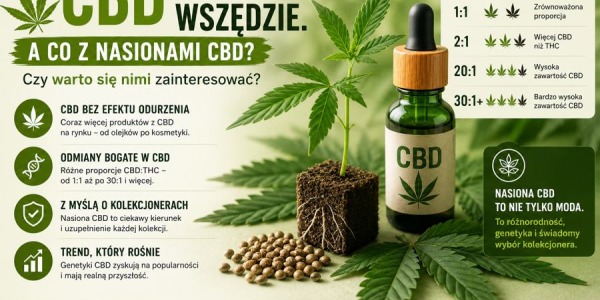 CBD jest wszędzie. A co z nasionami CBD? Czy warto się nimi zainteresować?